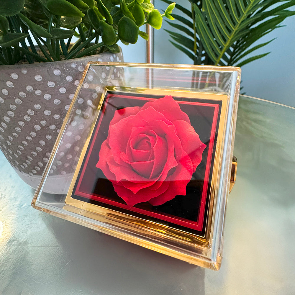 To My Love - Alluring Beauty Necklace with Rotating Rose Gift Box